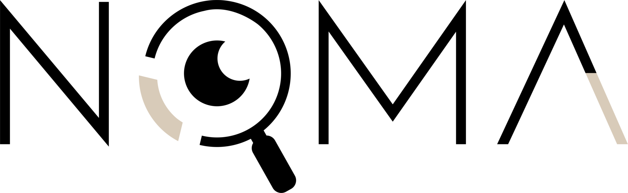Logo Noma - Original Sem Fundo